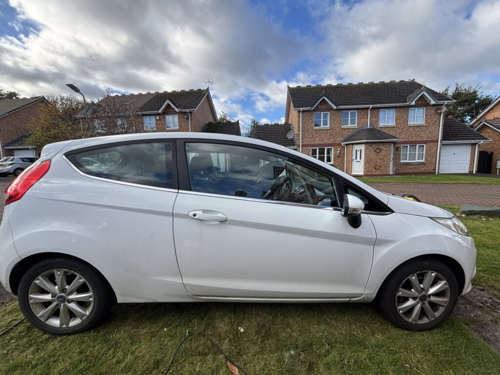 Ford Fiesta Dog Hair Removal Border Valeters Carlisle Mobile Car Detailing 1