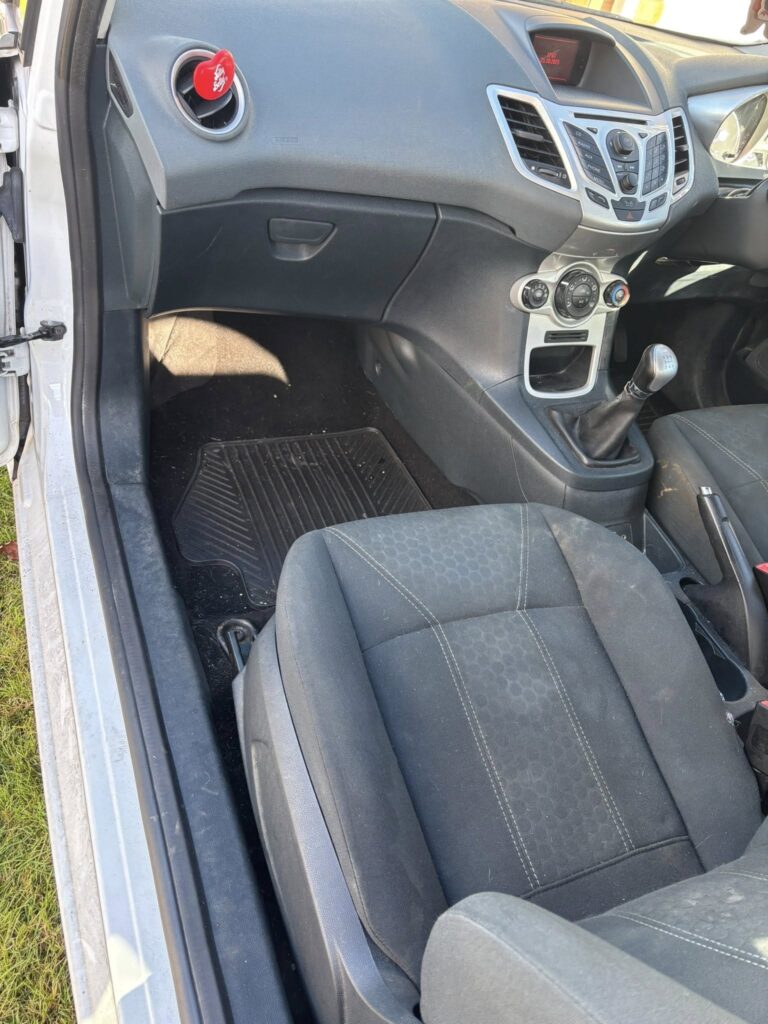 Ford Fiesta Dog Hair Removal Border Valeters Carlisle Mobile Car Detailing 10