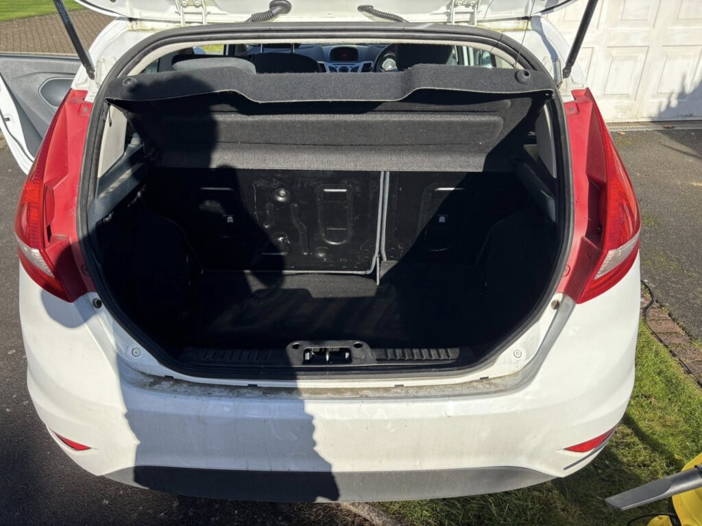 Ford Fiesta Dog Hair Removal Border Valeters Carlisle Mobile Car Detailing 11