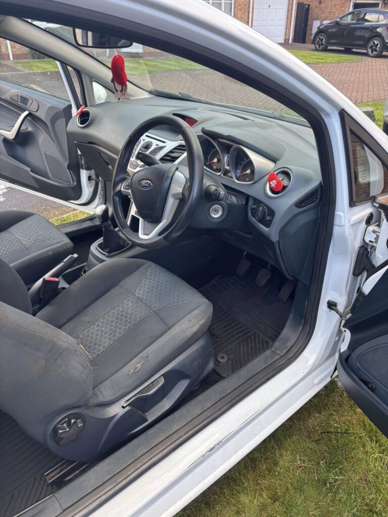 Ford Fiesta Dog Hair Removal Border Valeters Carlisle Mobile Car Detailing 13