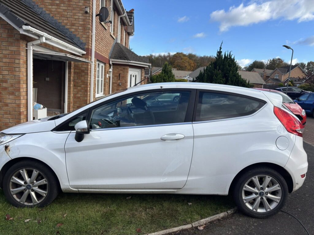 Ford Fiesta Dog Hair Removal Border Valeters Carlisle Mobile Car Detailing 3