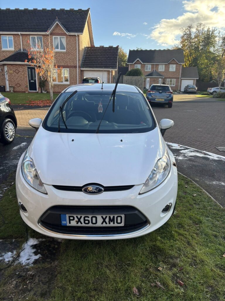Ford Fiesta Dog Hair Removal Border Valeters Carlisle Mobile Car Detailing 7