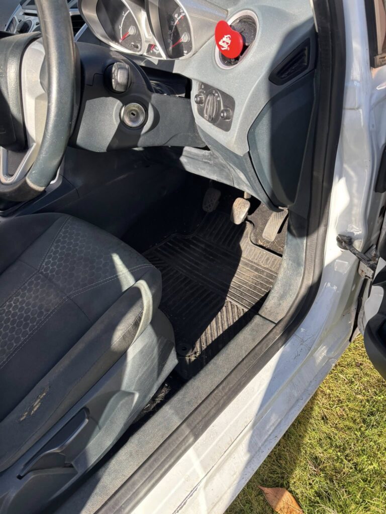 Ford Fiesta Dog Hair Removal Border Valeters Carlisle Mobile Car Detailing 8